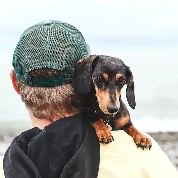 Dog on a mans shoulder